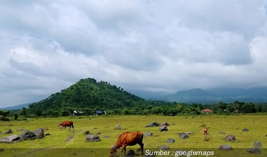 Tips Berkunjung ke Savana Tianyar Karangasem Bali